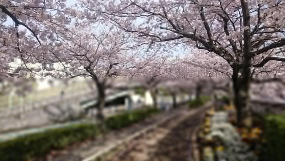 Henn Na Hotel Maihama Tokyo Bay Urayasu Екстериор снимка